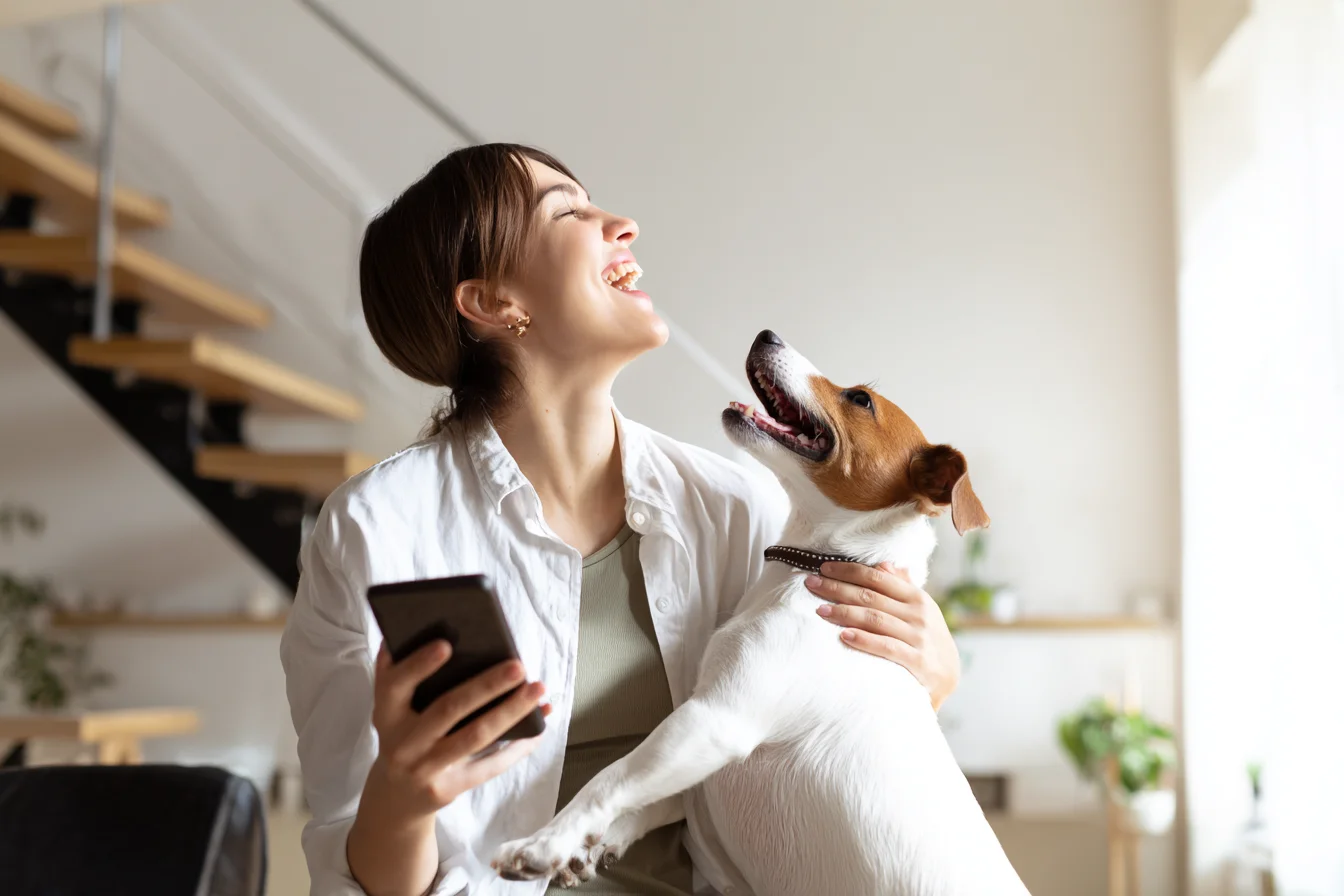 Get instant approval for scratch pay pet financing